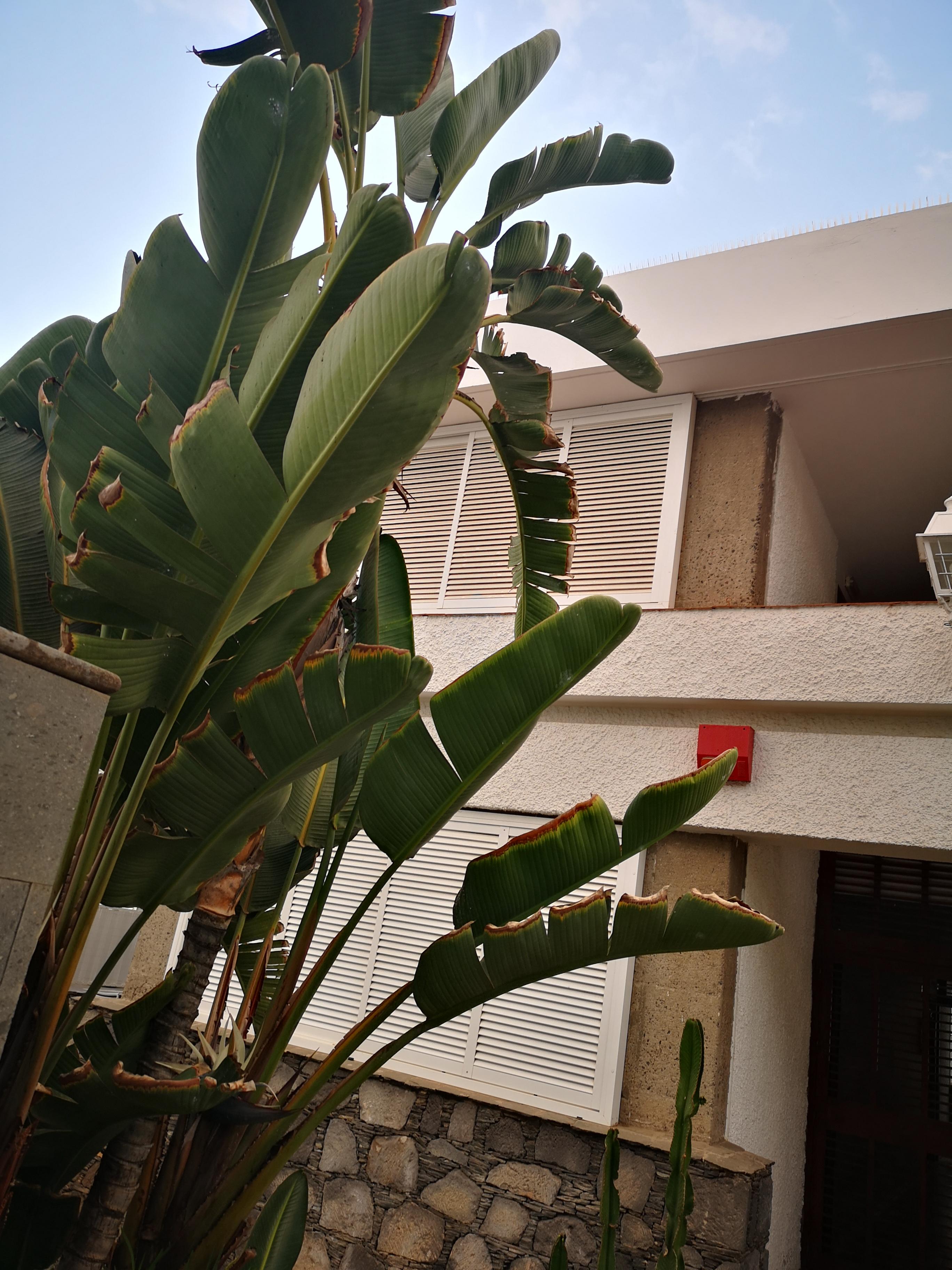 Apartamentos Tamara Maspalomas  Kültér fotó
