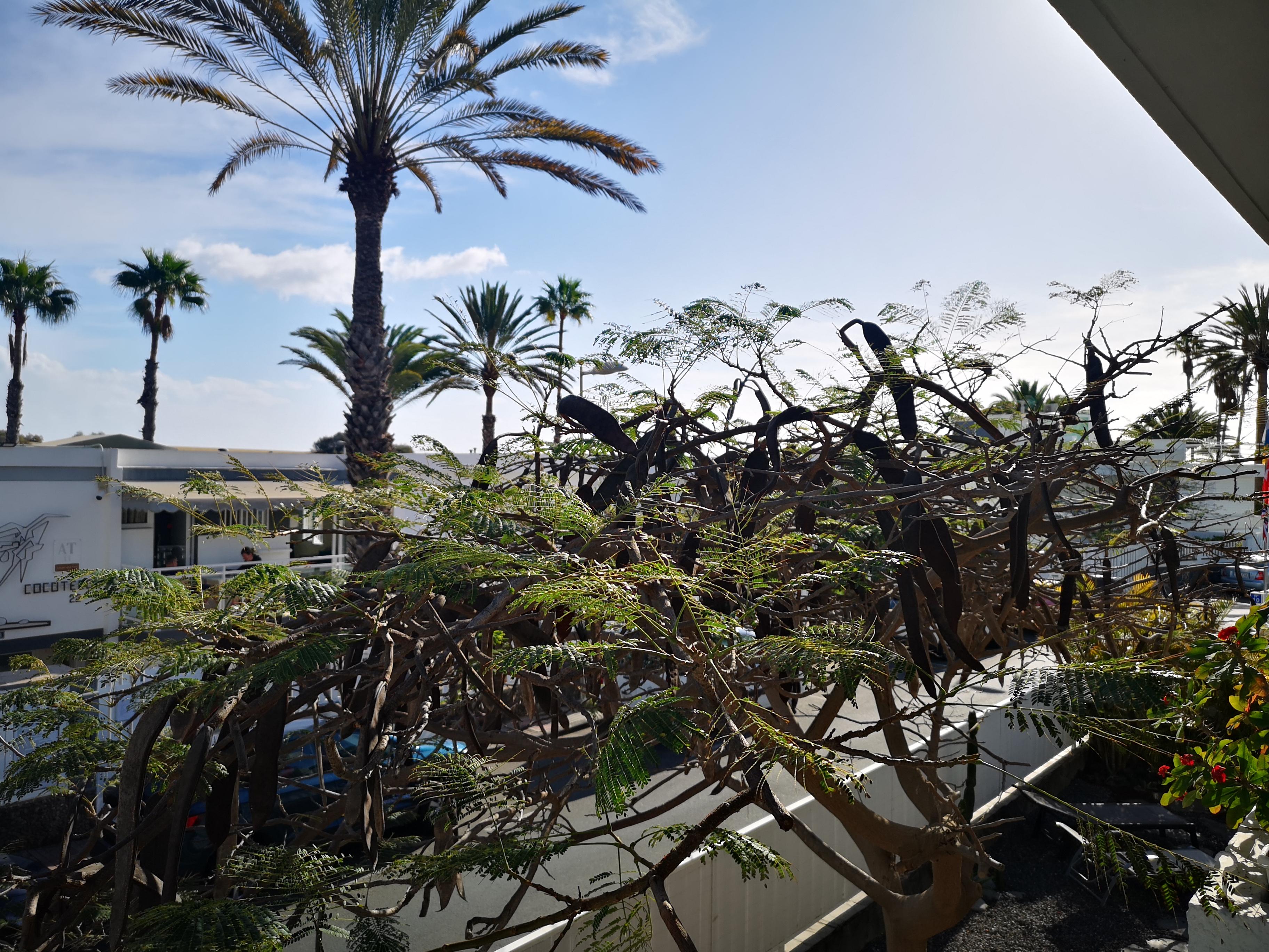 Apartamentos Tamara Maspalomas  Kültér fotó