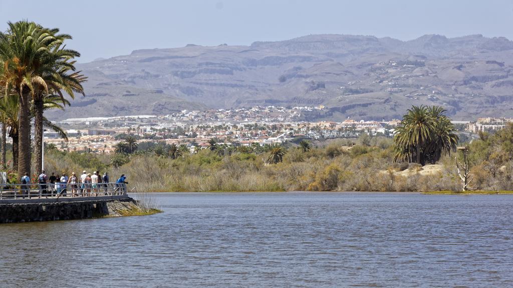 Apartamentos Tamara Maspalomas  Kültér fotó